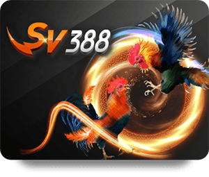 How to Play 33WIN Slot Baccarat Like a Pro